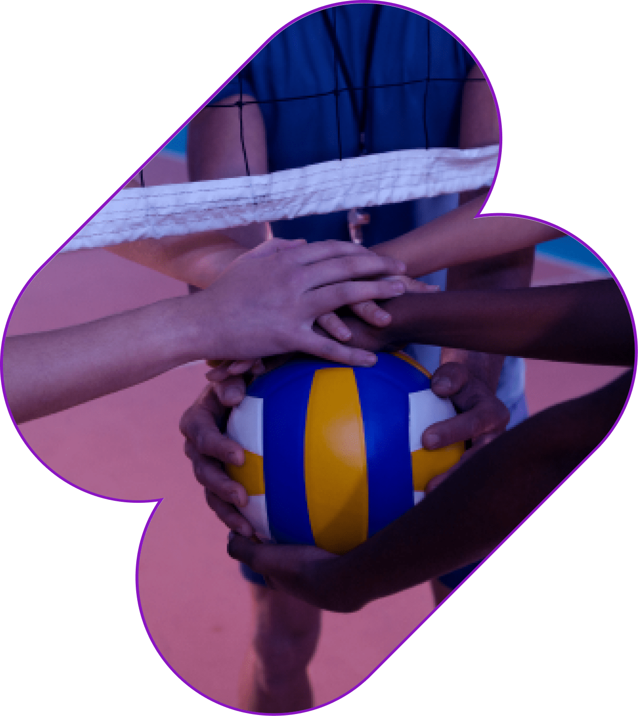 Get your volleyball club_s custom website