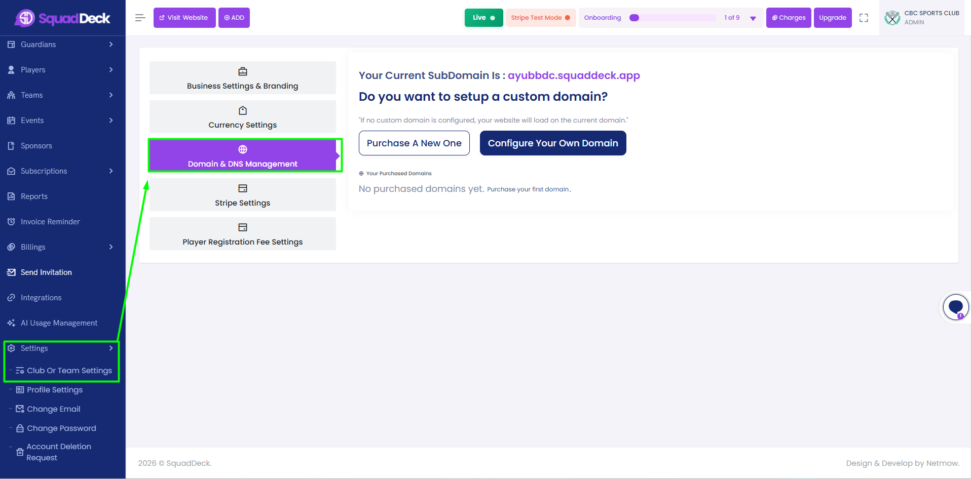 What Is the Custom Domain Feature