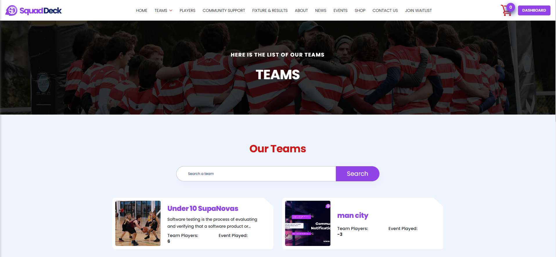 Team & Player Page